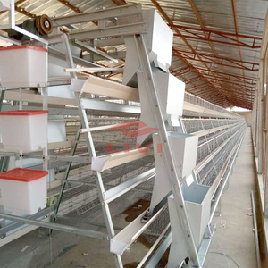 Một loại đặt Coop tùy chỉnh Pin lớp lồng hệ thống sản xuất lâu dài các tính năng một khung lớp lồng gia cầm - Product Image 2