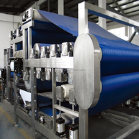 Industriële ananassapmachine, fruit snij- en pulpmachine, verwerkingsmachine voor fabrieken
