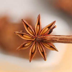 Ingrosso <span class=keywords><strong>anice</strong></span> stellato tutto Chakraphool a secco di <span class=keywords><strong>anice</strong></span> stellato <span class=keywords><strong>semi</strong></span> di <span class=keywords><strong>anice</strong></span> biologico di <span class=keywords><strong>anice</strong></span> dalla cina spezia singola di alta qualità - Product Image 3