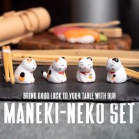 Ensemble de 20 pièces pour la fabrication de sushis-Kit pour débutants et pros avec couteau, 2 tapis, bazooka à riz et assiette à tremper