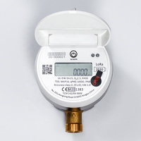 Compteur d'eau intelligent sans fil domestique à ultrasons AMR AMI R250 pour usage résidentiel