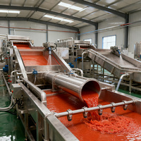Ligne de transformation de la tomate entièrement automatique Longkun - Ligne de production intégrée de transformation de la pâte de tomate à grande échelle
