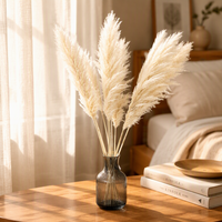Herbe de la Pampa Séchée Naturelle pour Décoration de Mariage, Bouquet de Fleurs pour Arrangement Mural Domestique, Fournitures Florales en Gros