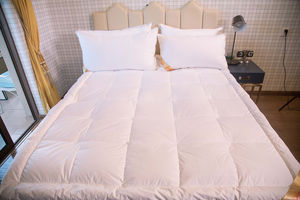 Matelas, matelas de remplissage en <span class=keywords><strong>duvet</strong></span> de <span class=keywords><strong>plumes</strong></span>, lit de matelas double couche, <span class=keywords><strong>surmatelas</strong></span> pour la maison <span class=keywords><strong>et</strong></span> l'hôtel - Product Image 3
