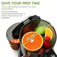 Geoptimaliseerde sapcentrifuge met hoge opbrengst, 250W krachtige fruit- en groentesapcentrifuge, slowjuicer van roestvrij staal