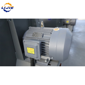 Essiccatore a Nastro Professionale Cinese per Foglie di Lovage, Rametti di Tarassaco e Foglie di Aneto - Product Image 2