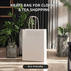 Sac en papier kraft recyclable avec logo personnalisé imprimé à l'écran, poignée torsadée, pour vêtements, thé, sac à main, shopping, emballage personnalisé - Product Image 3