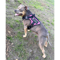 Harnais pour grand chien camouflage tactique réglable en maille respirante personnalisé avec 4 boucles en métal