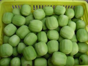 Grün herzige HACCP IQF Chinese Frozen Fruits und Gemüse Frozen <span class=keywords><strong>Whole</strong></span> Dice Slice <span class=keywords><strong>Kiwi</strong></span> - Product Image 4