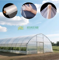 Film de serre en plastique double couche résistant aux UV pour tunnel de jardinage agricole