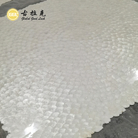 Mosaïque de coquillages de capiz naturels au design moderne pour les murs de hall d'hôtel, les crédences de cuisine, les murs de douche de salle de bain, les intérieurs