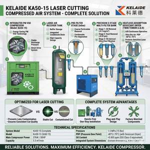Compresseur d'air rotatif à vis 4 en 1 haute efficacité 55 kW 10 bars pour découpe laser - Product Image 6