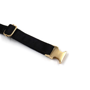 Nuevas ideas de productos 2025 para el hogar, dispensador de bolsa de caca de perro negro, correas para mascotas, <span class=keywords><strong>collar</strong></span> de perro grabado de terciopelo personalizado - Product Image 2