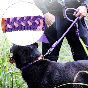 Correa de Nailon Morada para Perro con Asa Trenzada, Estilo Simple y Duradero para Perros Medianos - Product Image 5