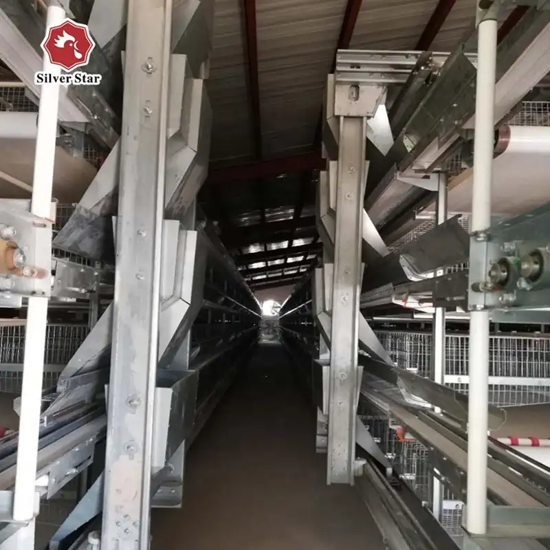 Automatic Chicken Layer Feeding System for Chicken Layer Cages