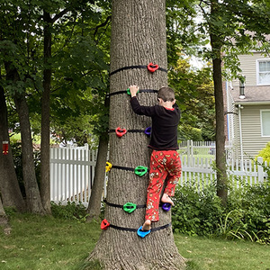 อุปกรณ์ปีนผาแบบมีตัวปรับแรงตึง ทำจากพลาสติก สำหรับปีนต้นไม้ ผนัง หรือผาหิน เหมาะสำหรับเด็ก ขนาดใหญ่ - Product Image 2