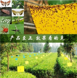 Trappola per Topi Elettrica Gialla Usa e Getta con Colla Solida per Uso <span class=keywords><strong>Interno</strong></span>/Esterno Protegge le <span class=keywords><strong>Piante</strong></span> Non Tossica - Product Image 5