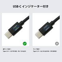 Câble d'alimentation spiralé Alvin's Cables Type-C PD vers batterie factice NP-FZ100 pour Sony Alpha A7 III, A7 IV, A7S III, A7RIII, A7R IV, etc.