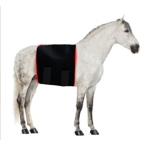 Soins aux chevaux Animaux Arthrite Soulagement de la douleur Personnalisable Horse Therapy Blanket - Product Image 1