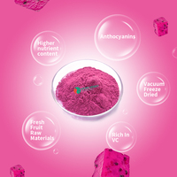 100% Natuurlijke Biologische Gevriesdroogde Rode Dragon Pitaya Fruitpoeder