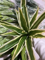 LUYI Grosir Tanaman Agave Buatan untuk Dekorasi Latar Belakang Dalam Ruangan dan Lanskap