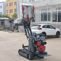 Multifunktionaler Mini-Diesel-Dumper – Top-Angebot: 500 kg Tragkraft, kostenloser Transport, kleiner Raupen-Dumper