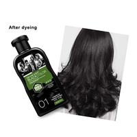Teinture capillaire semi-permanente à base de plantes, shampooing capillaire noir de riz pour cheveux blancs, Chine, couvre 100% des cheveux blancs, crème de rebondissement, 200 ml + 200 ml