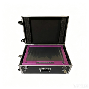 Système d'endoscopie médicale portable tout-en-un BT Full HD 22 pouces avec caméra intégrée - Product Image 2