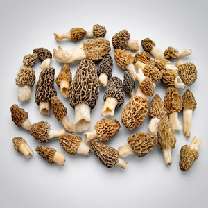 Mores naturelles et pures, provenant de l'inde - Product Image 1
