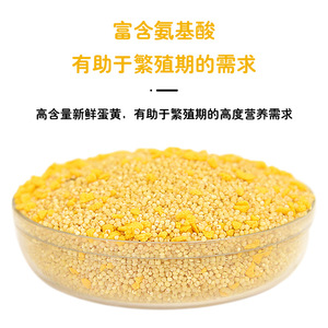 Alimentation pour oiseaux : Millet pour perroquets, perruches, calopsittes – Nutrition pour l'élevage – Céréales roulées 1200ml – Nourriture pour animaux de compagnie - Product Image 3