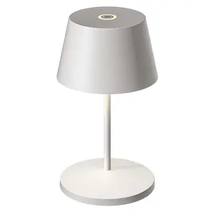 Study Office Light Mood Light Living Room Bedroom Bedside Decorative Waterproof Egg Shape Wireless Table Lamps