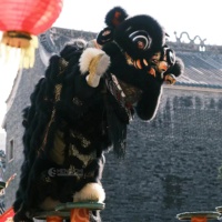 Costume de mascotte de lion noir imposant, fait main, en laine et polyester, taille unique, unisexe adulte, pour spectacle traditionnel