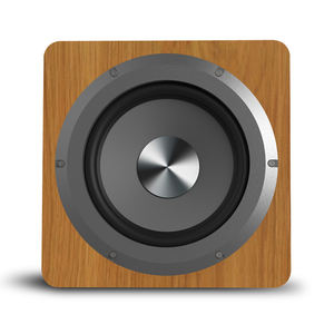 Tianlai TL-D6 professionnel de haute qualité 6 pouces <span class=keywords><strong>Subwoofer</strong></span> haut-parleur <span class=keywords><strong>maison</strong></span> Subwoofers pour système de cinéma <span class=keywords><strong>maison</strong></span> - Product Image 5