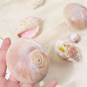 Nuevo Juguete de Simulación de Caracol para Aliviar el Estrés, Adorno de Caracol, Regalo - Product Image 3