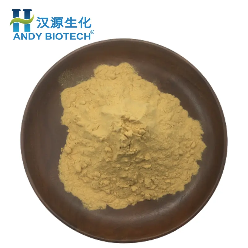 Top quality Angelica Dahurica Extract Angelica Dahurica Root Extract Powder