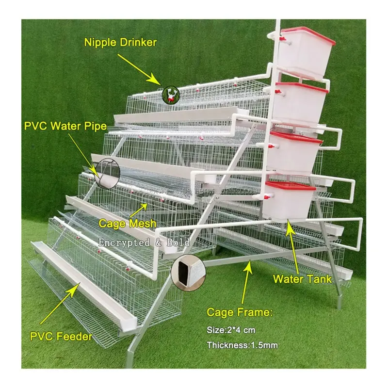 Sıcak satış A tipi tavuk pil tavuk çiftliği yumurta tabakası tavuk kafesi gana için ucuz fiyat