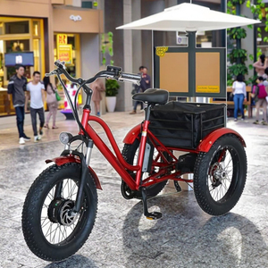 มอเตอร์ฮับหลัง 48V 800W 3 สปีด สำหรับรถสามล้อผู้ใหญ่ จักรยานสามล้อ 3 ล้อ มอเตอร์ฮับหลัง - Product Image 2