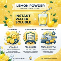 Poudre de citron naturelle FVP-11, poudre de jus de citron soluble dans l'eau, qualité alimentaire, séchée par pulvérisation, sauvage