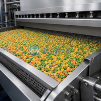 IQF Fluidized Bed Tunnelvriezer voor frieten, groenten, fruit en zeevruchten