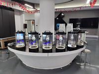 Terminal Humain Numérique IA Holographique – Kiosque Interactif Virtuel Android Plug-and-Play avec Imagerie Holographique LCD