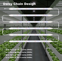 Luz LED de Cultivo T8 Impermeable IP65, Regulable, Espectro Ajustable, Espectro Inteligente, Espectro Completo para Plantas, Floración en Interiores