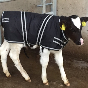 Producto en oferta, chaleco impermeable y frío para pantorrillas, abrigo cálido, manta gruesa para pantorrillas - Product Image 3