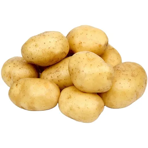 Новый Урожай популярных овощей свежий картофель поставщик 100% органический оптом картофель свежий картофель из Китая высокого качества