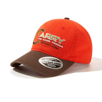 Casquettes de baseball sportives personnalisées brodées motif léopard avec logo imprimé, 100 % coton, unisexe, pour événements estivaux et petites commandes