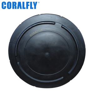 Kit de filtre à air pour semi-remorque CL-A25033M CL-B25430, pièce de moteur diesel, filtre AF25033M P533235 RS3530 Filtro De Aire - Product Image 5
