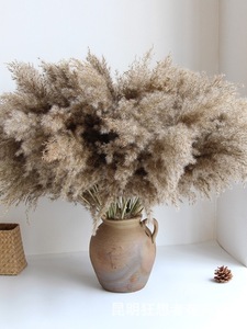 Flores Secas de Pampas Estilo Boho, Ecológicas, Decoración para Halloween, Año Nuevo, Bodas, Navidad, Día de la Madre, Día de San Valentín - Product Image 3