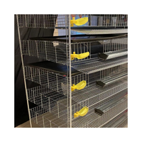 10000 conception de cage à oiseaux de caille pour ferme de caille Cage d'élevage de cailles portable à 6 niveaux avec plateau à fumier Abreuvoir en plastique