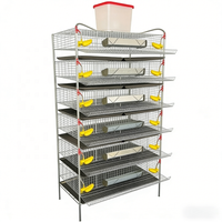 Cage à cailles multi-niveaux en plastique durable avec plateau de collecte des déchets écologique et alimentation automatique