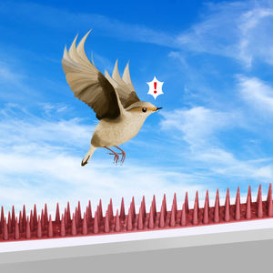 2023 New Pest Control <strong>Bird</strong> Thorn Plastic Pigeons <strong>Spikes</strong> <strong>for</strong> Home Garden <strong>Roof</strong> - Product Image 4