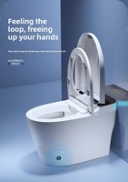 WC intelligent certifié CE MWD avec bidet intégré, fonction lavage et séchage à l'air, siphon P/S, toilette moderne à poser au sol pour l'Europe